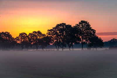 Silhouette trees on landscape against sky during sunset