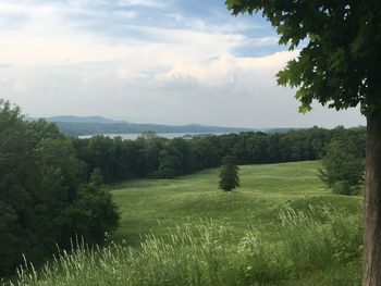 Scenic view of grassy field against cloudy sky