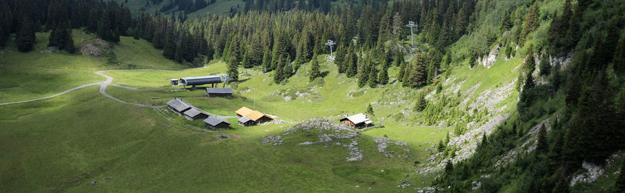 High angle view of trees on landscape