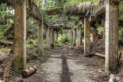 Ruins of the former the tin mine rolava - sauersack