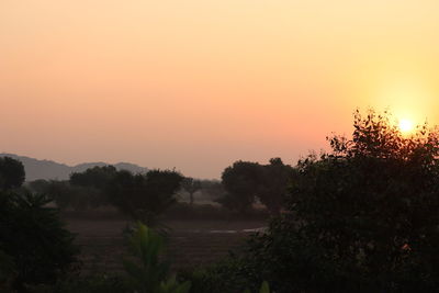 Scenic view of trees against sky during sunset