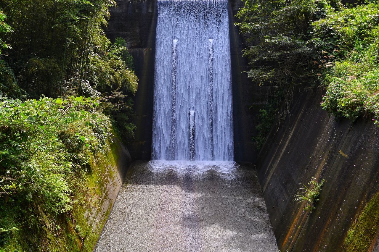 WATERFALL AMIDST TREES IN FOREST