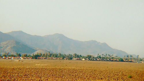Scenic view of agricultural field and houses against clear sky