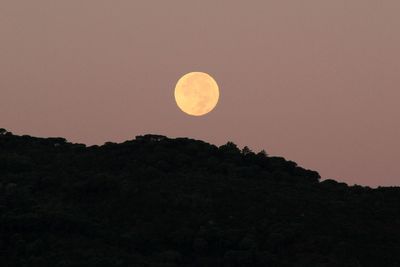 Low angle view of moon in sky at night