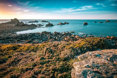 Scenic view of sea against sky