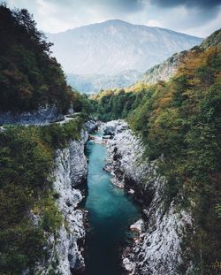 Scenic view of river amidst trees against sky