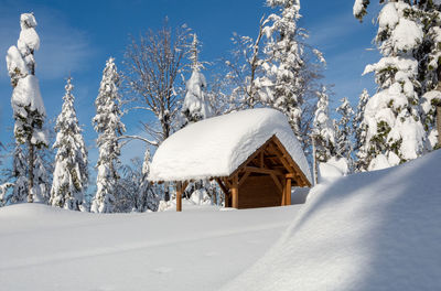 Snow covered land and trees against sky