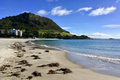 Scenic view of beach against sky