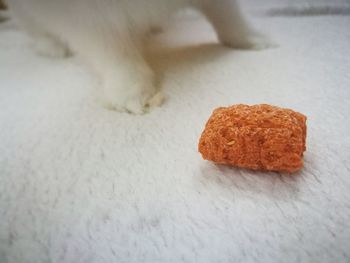Close-up of bread on table