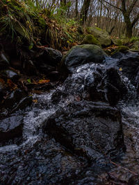Scenic view of waterfall in forest