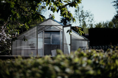 Buildings against trees