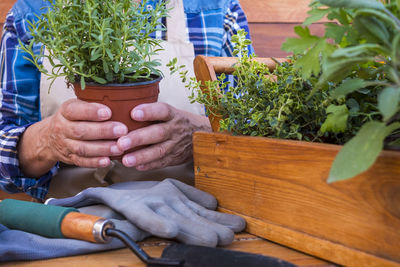 Midsection of woman working by potted plant