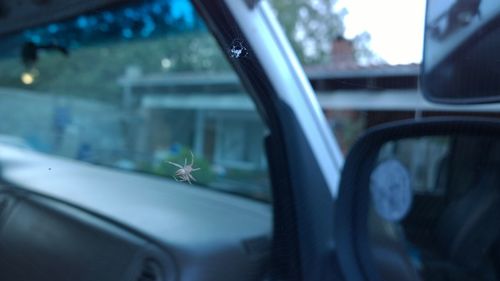 Reflection of car on side-view mirror
