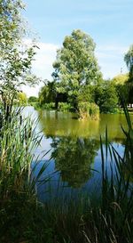 Scenic view of lake against sky