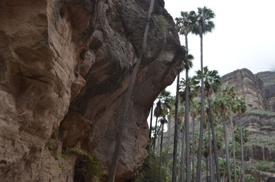 Low angle view of rock formation