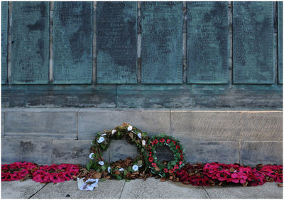 View of white roses against war memorial