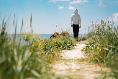 Rear view of man walking on beach path with grass against sky in summer