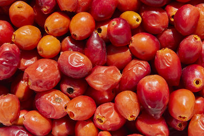 Full frame shot of fruits