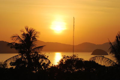 Silhouette palm trees by sea against sky during sunset