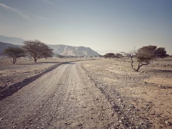 Scenic view of road amidst field against clear sky