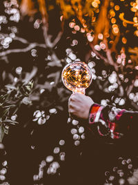 Close-up of water splashing hanging on plant