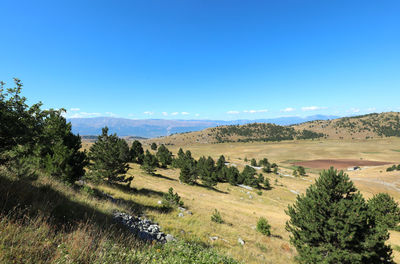 Scenic view of landscape against blue sky