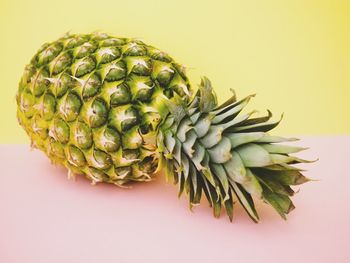 Close-up of fruit against white background