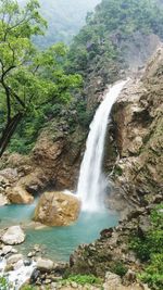 View of waterfall in forest