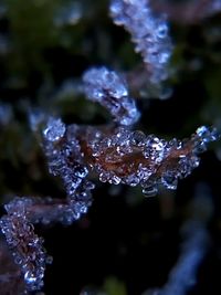 Close up of water drops on leaf