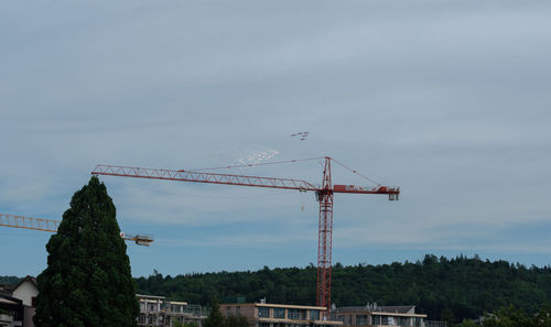 Low angle view of crane against sky