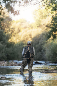 Rear view of man in river against trees in forest