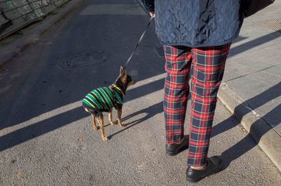 Low section of person with dog walking on sidewalk in city