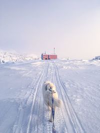 Car on snow covered field against sky