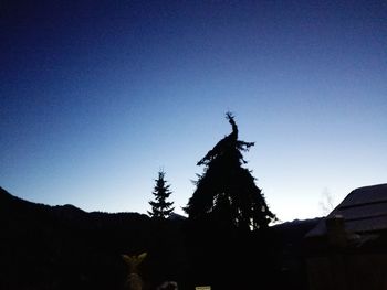 Low angle view of silhouette trees against sky