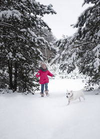 Child in winter. little girl in nature playing with a dog in winter