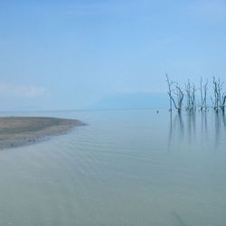 water