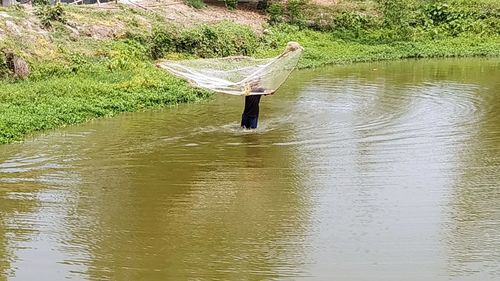 Man in lake