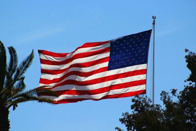 Low angle view of trees and american flag against clear sky