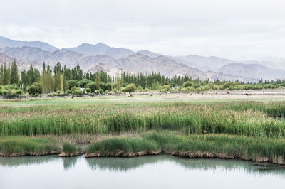 Scenic view of lake with mountains in background