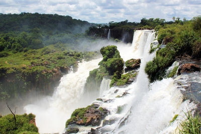 Scenic view of waterfall in forest