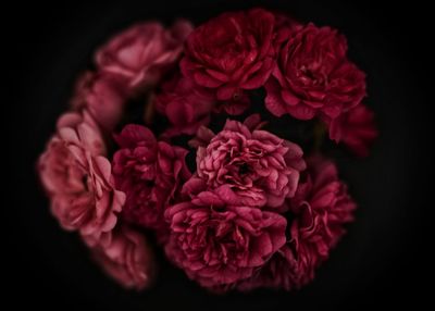 Close-up of rose bouquet against black background