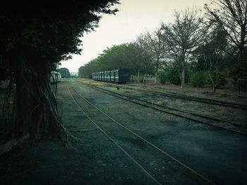 Railroad track passing through trees