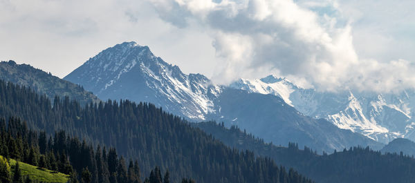 Summer landscape with snow-capped mountain peaks. central asian travel background