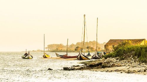 Boats moored in sea