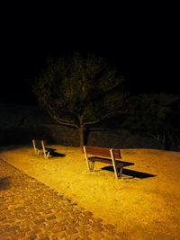 Empty bench against trees at night