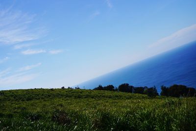 Scenic view of field against blue sky