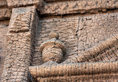 Close-up of a lizard on a stone wall