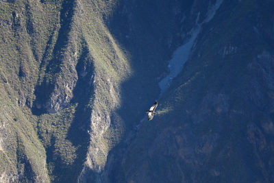 High angle view of person skiing on mountain