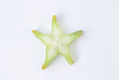 Close-up of lemon slice over white background