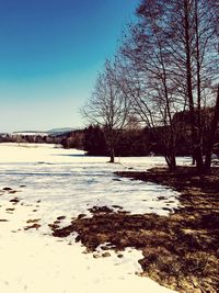 Bare trees on snow covered field against sky